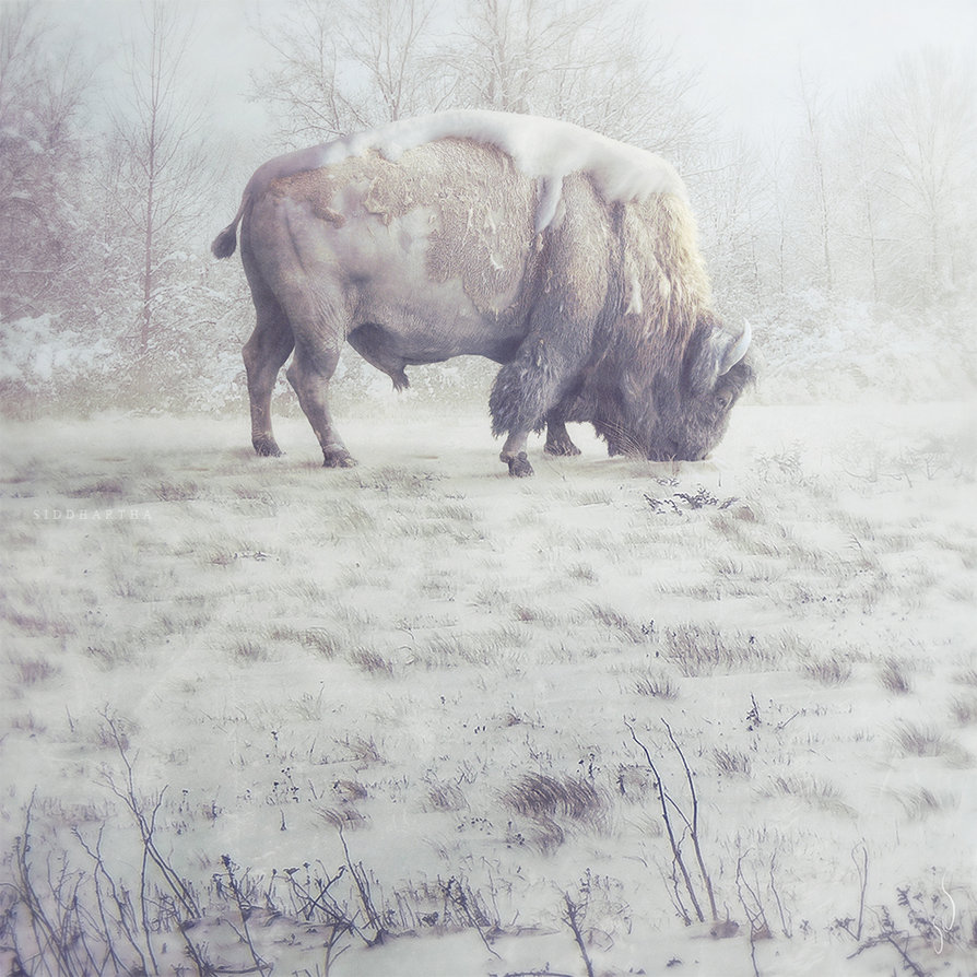 Introducing Law School Reviews: Comments and Suggestions Invited