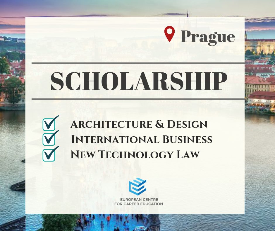 ECCEDU Summer Program and Internship Scholarship