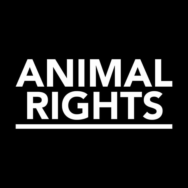 CfP: Conference on Protection of Animal Rights by Bharati Vidyapeeth University: Submit by June 8